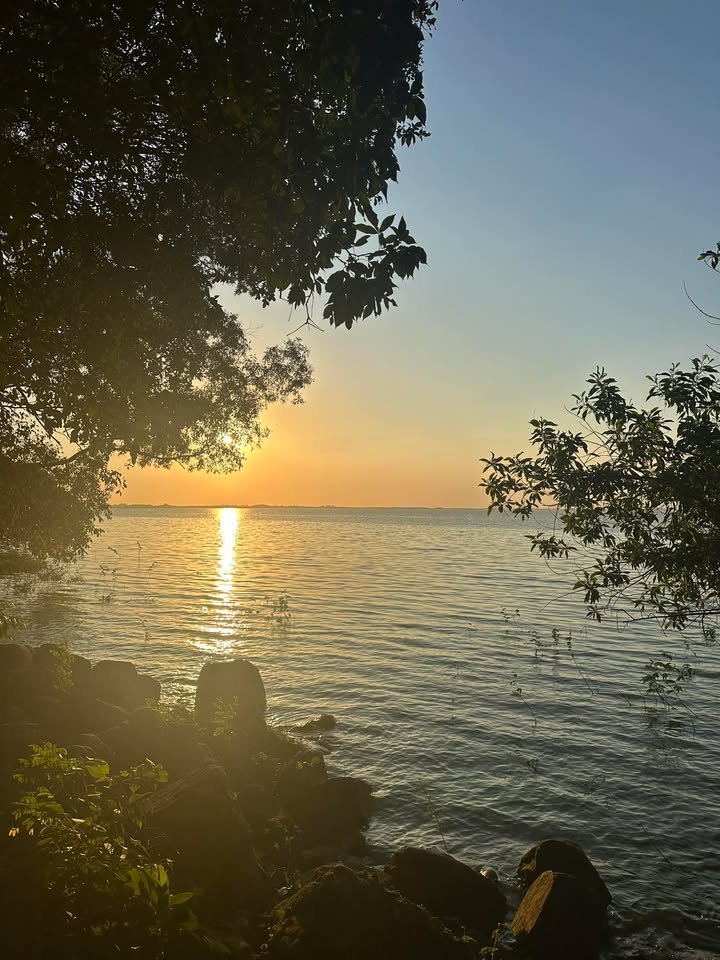 Đất thổ cư 200m² tại xã Định Thành, Dầu Tiếng chỉ 400 triệu - Cơ hội đầu tư hấp dẫn!