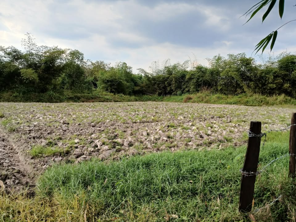 Đất ruộng Vĩnh Tân Tân Uyên 5469m² giá 5.469 tỷ - Đường ô tô tới đất!