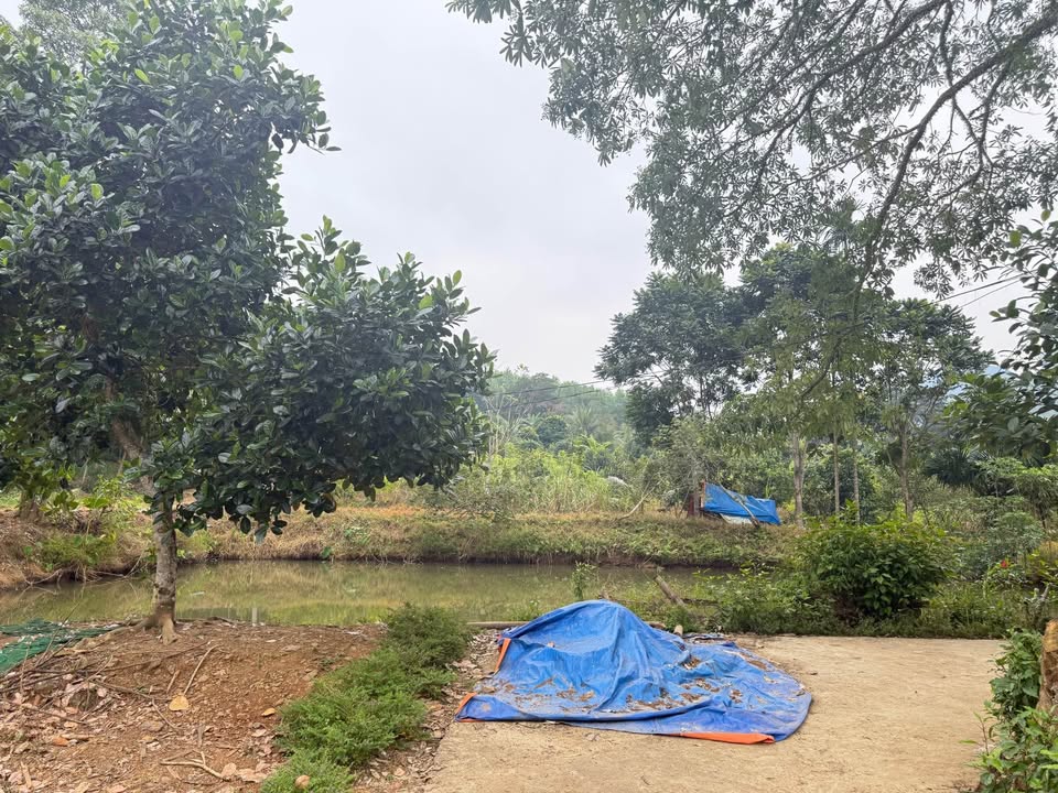 Lô đất 2.000m² Thúy Sơn, Ngọc Lặc, Thanh Hóa - Cơ hội đầu tư tuyệt vời!