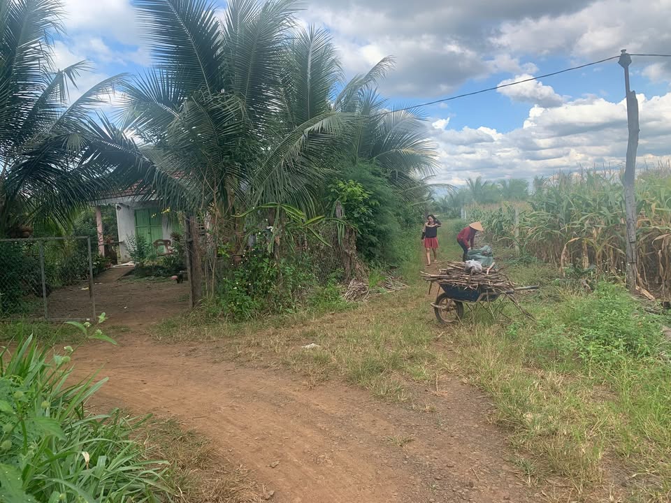 Đất thổ cư Ea Nuôl, Đắk Lắk 330m² giá chỉ 285 triệu - Cơ hội vàng đầu tư!