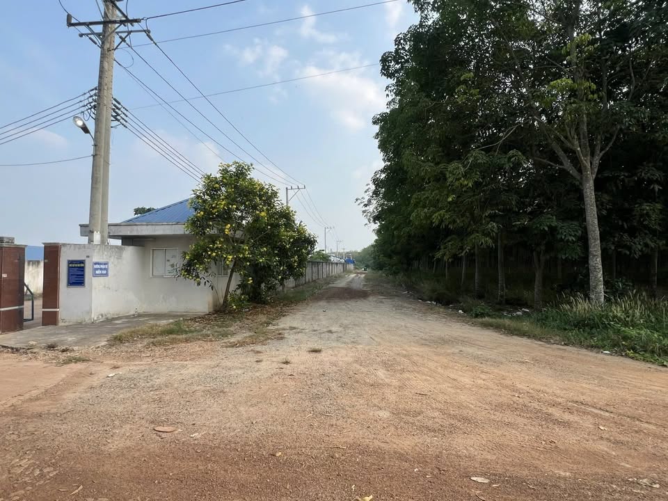 Bán đất xây kho xưởng 74.000m² tại Tân Hiệp, Phú Giáo - Pháp lý rõ ràng, giá tốt!