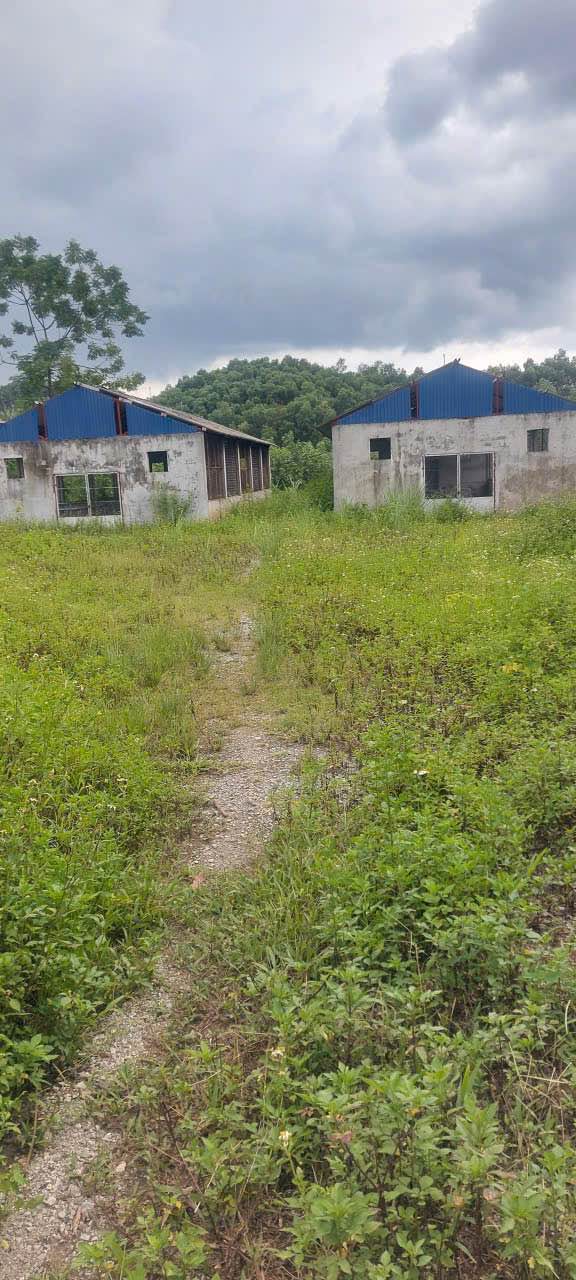 Đất nền Văn Hán Đồng Hỷ Thái Nguyên 5ha giá 4 tỷ - Cơ hội đầu tư tuyệt vời!