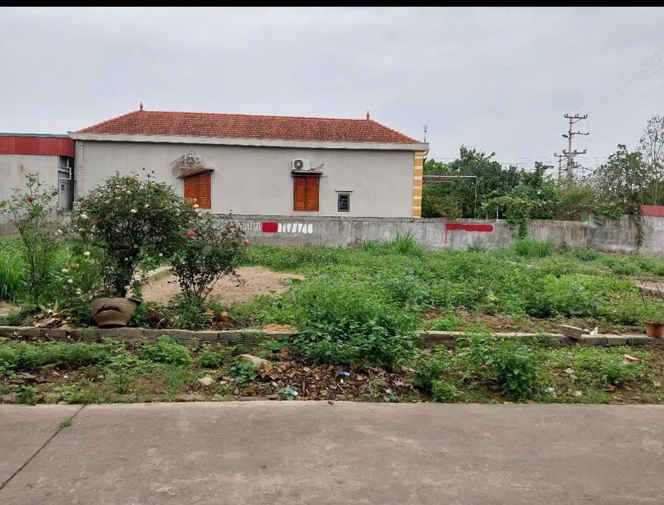 Đất Biệt Thự Chính Chủ tại Dưỡng Phú, Kim Động - Diện tích 200m² chỉ 3 tỷ!