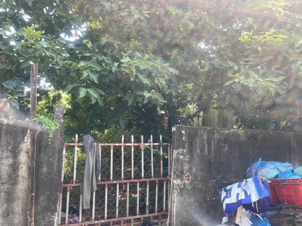 Đất nền Thạnh Xuân 555m² giá 5 tỷ - Đầu tư sinh lời lý tưởng!