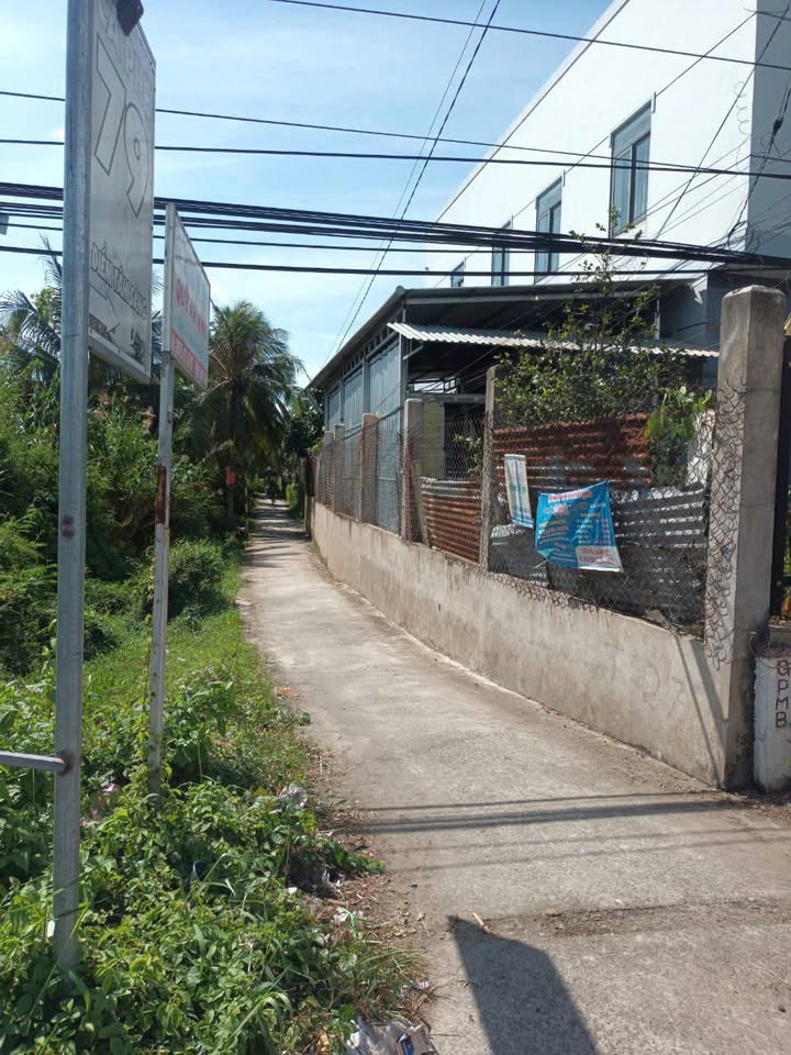 Đất CLN 800m² tại Phú An Hòa, Châu Thành - Giá chỉ 800 triệu VND!