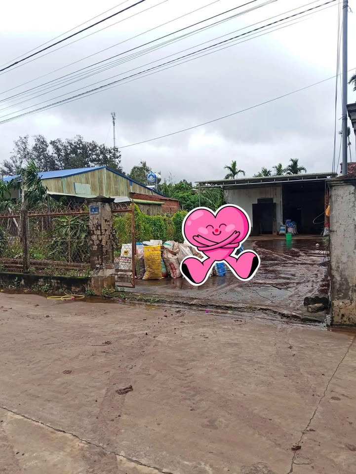 Đất mặt tiền Dã Tượng, Thống Nhất, Buôn Hồ 240m² giá 1.25 tỷ - Đường rộng ô tô né nhau thoải mái!