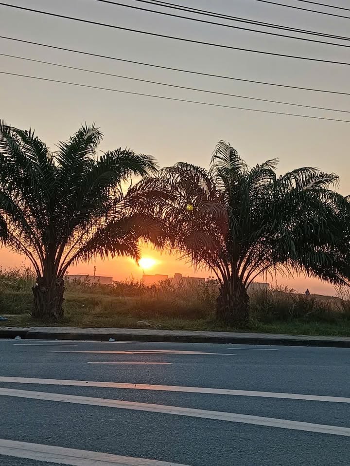 Nhà cho thuê mặt tiền ĐT 747, Bình Dương 624m² - Tiềm năng kinh doanh lớn!