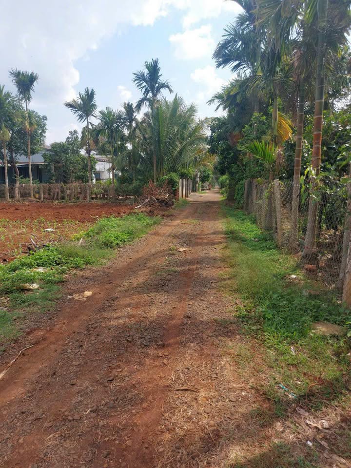 Đất nền Ea Ktur, Cư Kuin 150m² giá 540 triệu - Cơ hội đầu tư tuyệt vời!