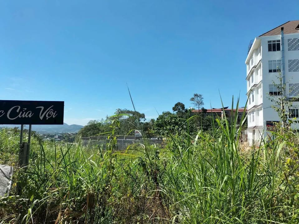 Đất Bảo Lộc 199m² giá 4.2 tỷ - 3 mặt tiền đường ô tô vào tận nơi!