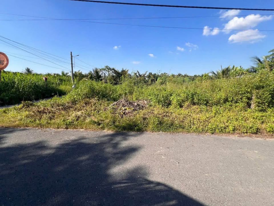 Đất nền liền kề góc 2 mặt tiền Trần Thị Thơm 153m² giá 1.25 tỷ - Cơ hội đầu tư tuyệt vời!