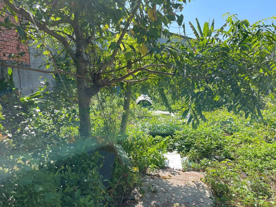 Đất vườn Hẻm 10 Vàm Trư Rạch Giá 100m² giá 670 triệu - Đường ô tô vào tận nơi!