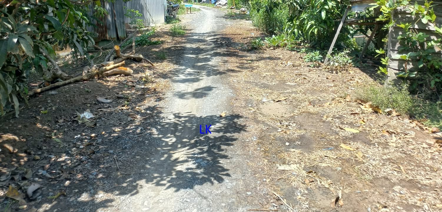 Đất lúa 6.500m² xã Mỹ Thọ, Đồng Tháp giá 1.154 tỷ - Cơ hội đầu tư hấp dẫn!