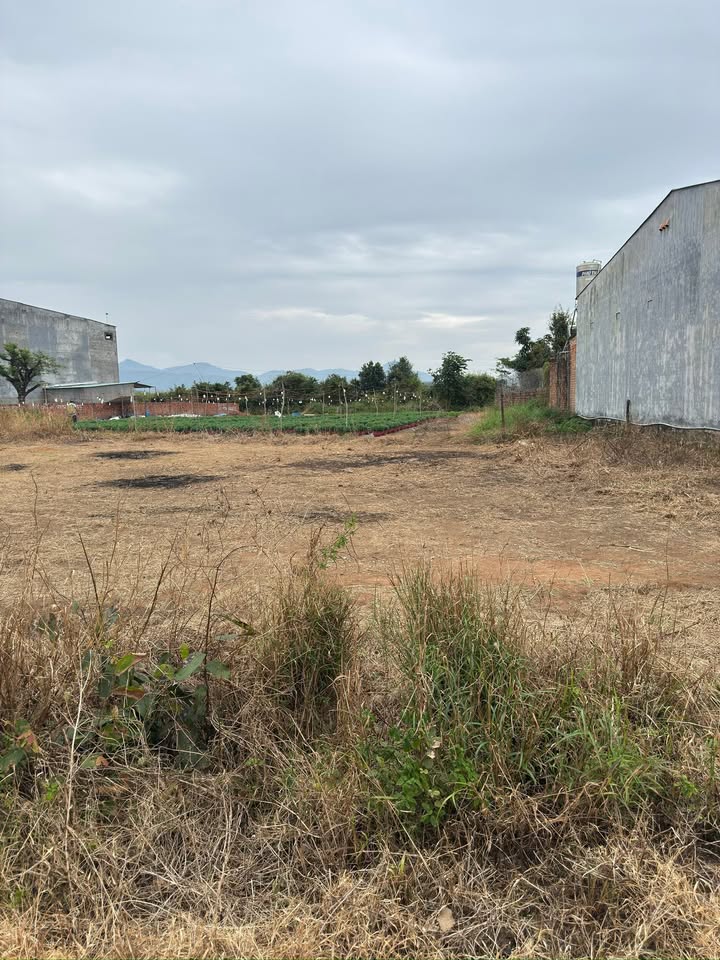 Đất thổ cư đường quy hoạch số 10, xã Đăk Ring, 264m² giá chỉ 300 triệu - Cơ hội đầu tư tuyệt vời!