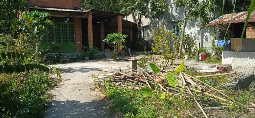 Đất cây lâu năm tại Gò Dầu, Tây Ninh 480m² giá 4.8 tỷ - Cơ hội đầu tư hấp dẫn!