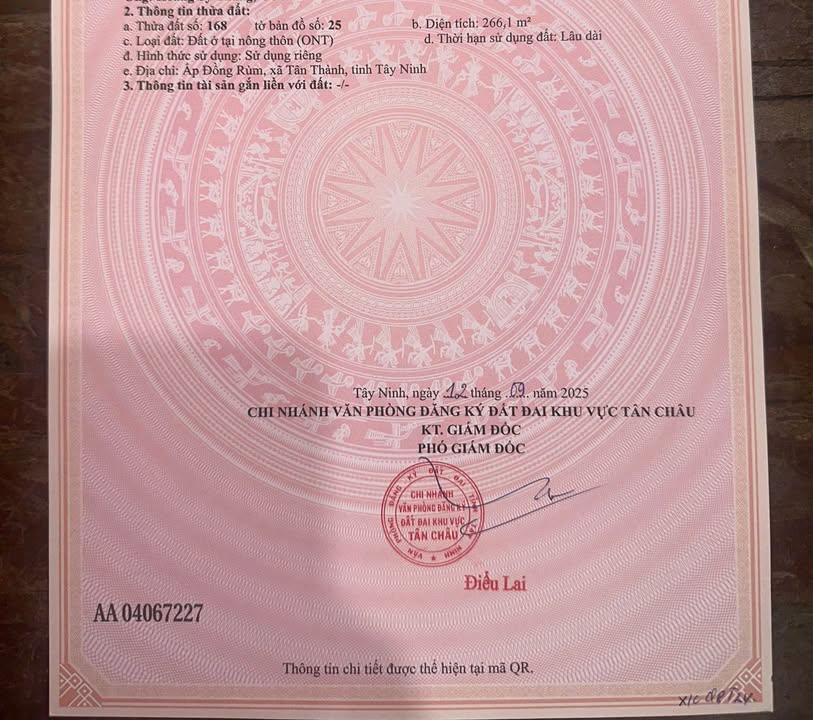 Đất thổ cư 266m² tại ấp Đồng Rùm, Tân Châu - Sổ đỏ chính chủ, giá thỏa thuận!