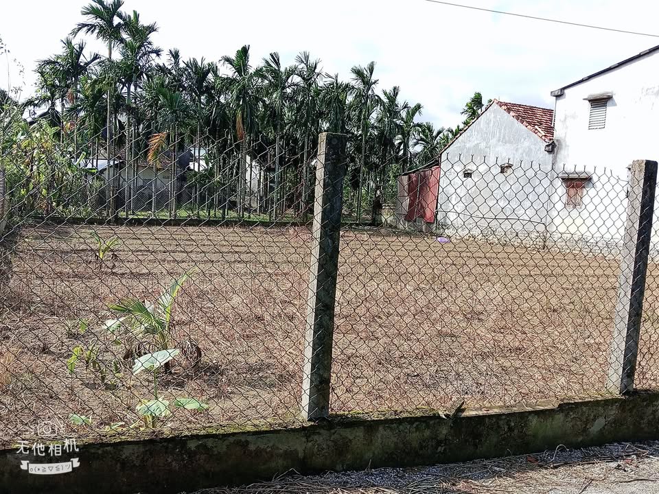 Lô đất La Hà Tư Nghĩa 100m² giá 500 triệu - Đầu tư sinh lời ngay!