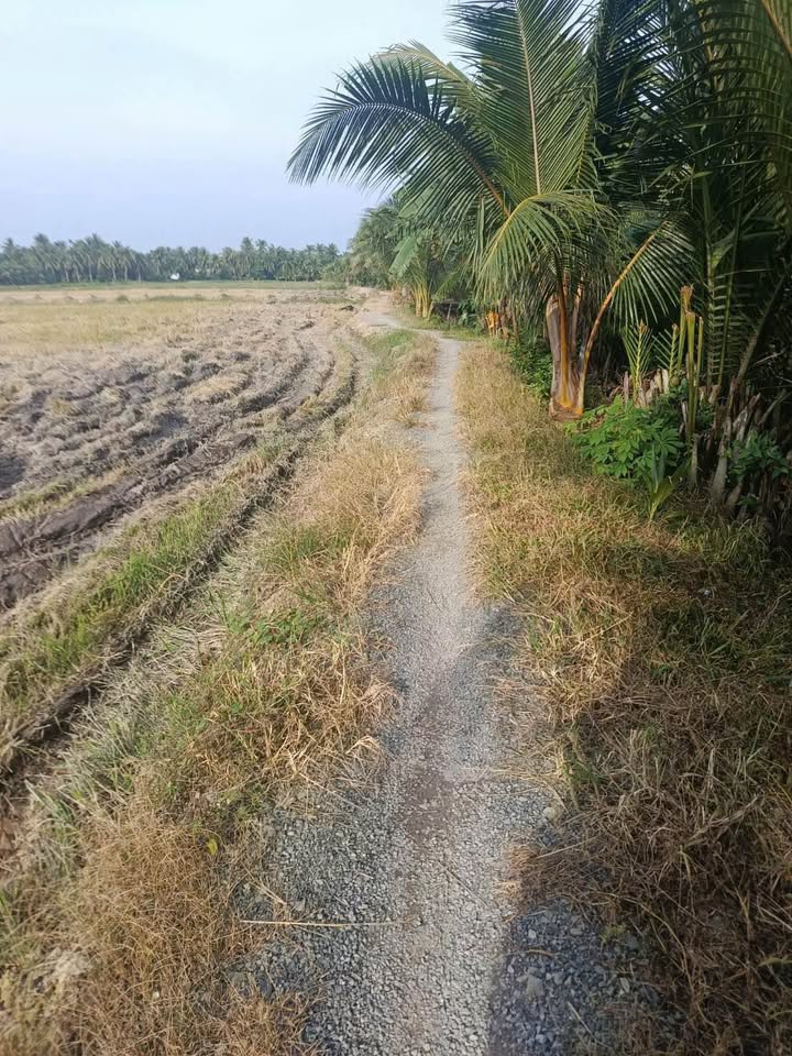 Đất nền xã Tân Long, huyện Mang Thít 5400m² giá chỉ 1.2 tỷ - Cơ hội đầu tư tuyệt vời!