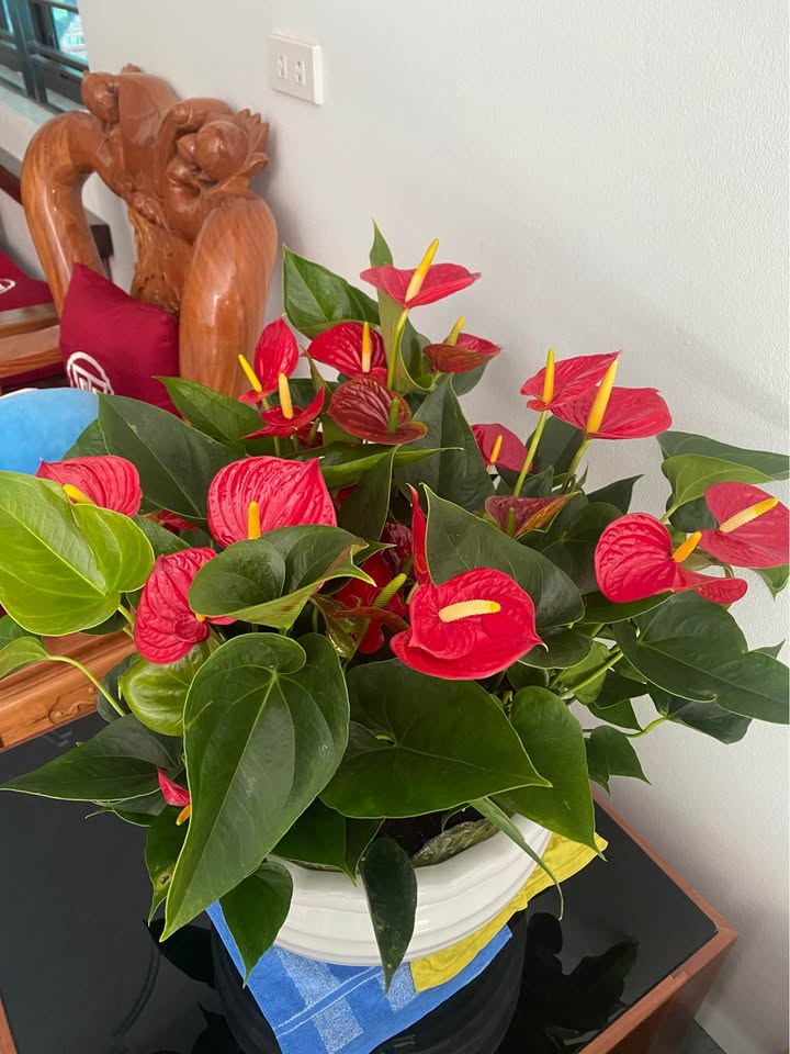 Nhà 2 tầng đường Yên Ninh, 110m² chỉ 1 tỷ - Gần bệnh viện và chợ