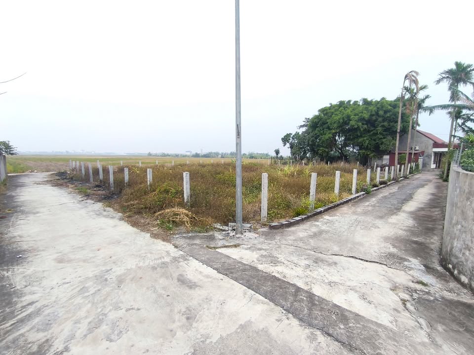 Đất 2 mặt tiền Nghĩa Phong 80m² giá 700 triệu - Cơ hội đầu tư sinh lời!