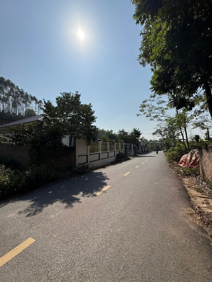 Đất thổ cư Tam Quan, Tam Đảo 500m² giá 2 tỷ - Gần trường học và vành đai 5!