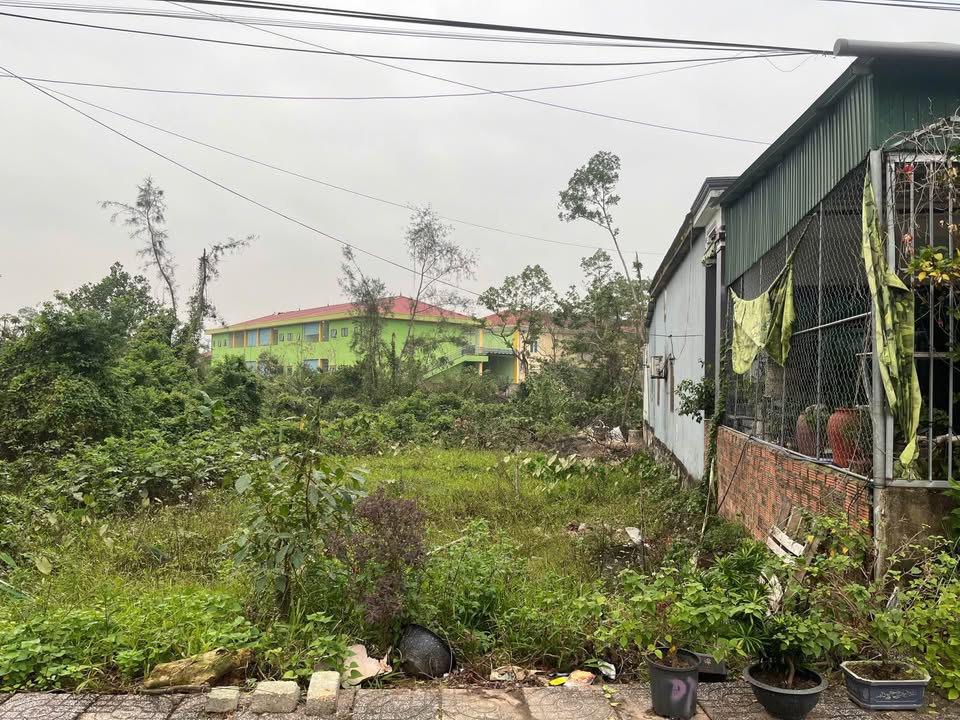 Đất nền thôn Đông Hạ, xã Cẩm Vịnh, 147.4m² giá 2.1 tỷ - Đầu tư sinh lời tuyệt vời!