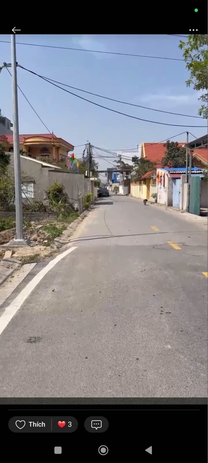 Đất Nông Nghiệp 3100m² tại An Đồng, An Dương - Giá chỉ 8.06 tỷ VND!