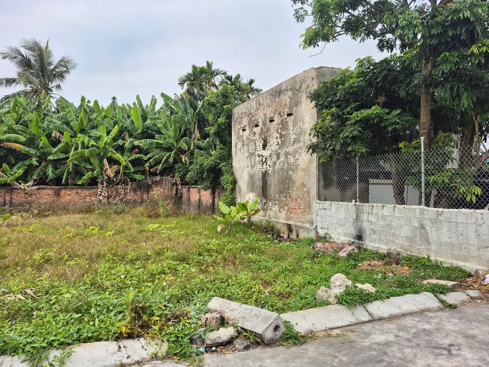 Đất nền góc 2 mặt ngõ tại phố Đẩu Vũ, Kiến An, 76m² - Giá chỉ 1 tỷ VND!