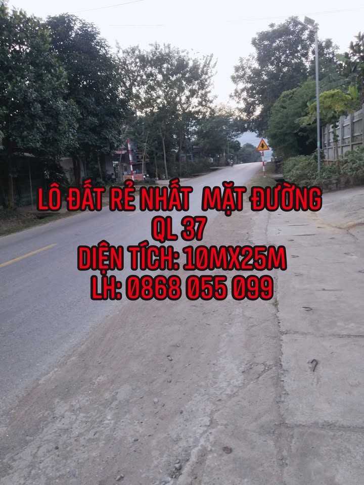 Đất mặt đường Quốc lộ 37 Phù Yên 250m² - Cơ hội đầu tư tuyệt vời!