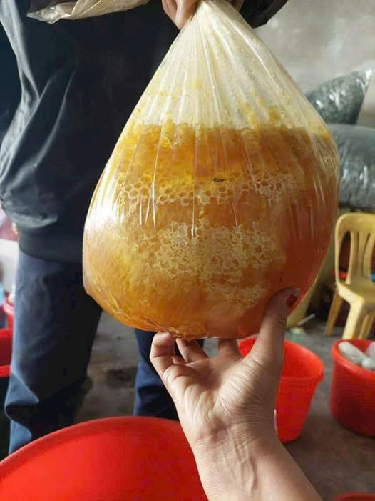 Đất nền 576m² đường nhựa chính Phú Lộc, giá 604 triệu - Cơ hội đầu tư hấp dẫn!