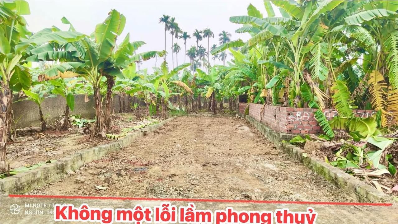 Đất nền Quảng Thanh 73m² giá chỉ 400 triệu - Sổ hồng chính chủ!