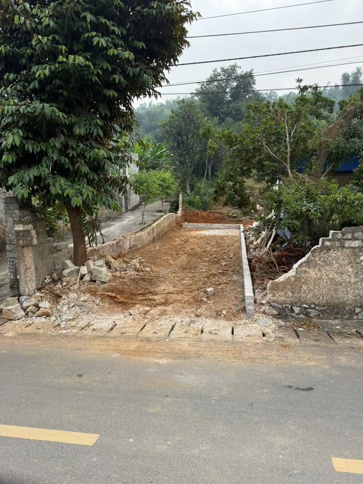 Đất thổ cư Thôn 3, Xã Việt Khê, Thủy Nguyên, Hải Phòng 80m² - Vị trí đẹp, giá tốt cho nhà đầu tư!