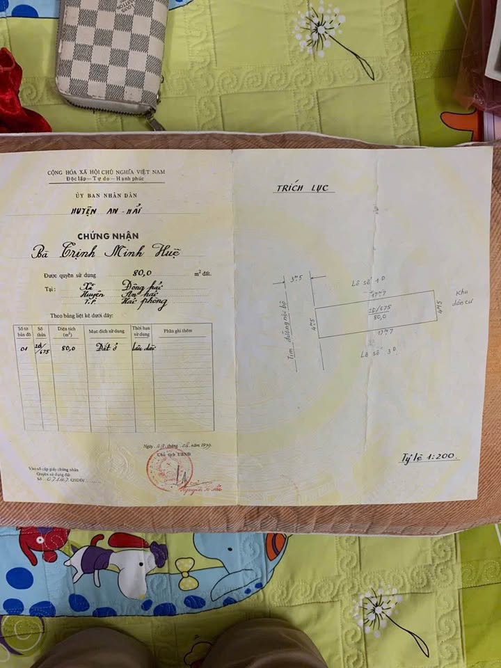 Đất nền đẹp tại đường Phương Lưu, Hải An, Hải Phòng 98m² giá 3.68 tỷ - Đầu tư sinh lời ngay!