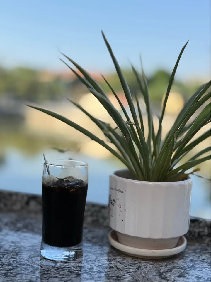 Đất chính chủ Tân Hà 150m² giá thỏa thuận - Đường ô tô vào tận nơi!