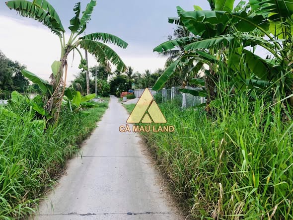 Đất nền Tân Xuyên 570m² giá 1.2 tỷ - Thích hợp làm nhà vườn, nghỉ dưỡng!