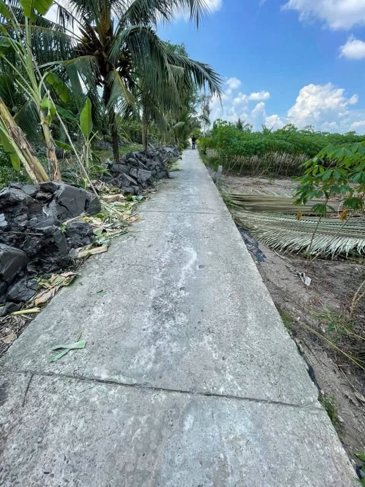 Đất nền Hỏa Lựu, Vị Thanh, 297m² giá 145 triệu - Cơ hội đầu tư tốt!