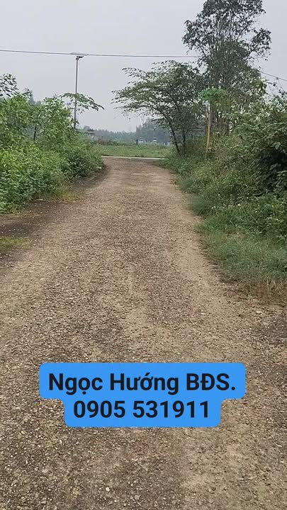 Đất nền Hải Phú 120m² giá 700 triệu - Đầu tư sinh lời ngay!