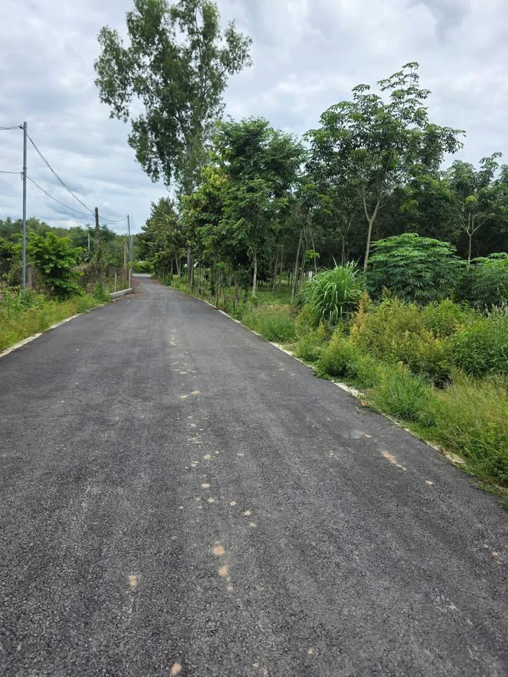 Đất nền Long Tân Dầu Tiếng 10.800m² giá chỉ 1 tỷ - Cơ hội đầu tư hấp dẫn!