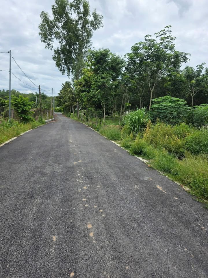 Đất nền Long Tân 10.800m² chỉ 1.1 tỷ - Cơ hội đầu tư tuyệt vời!