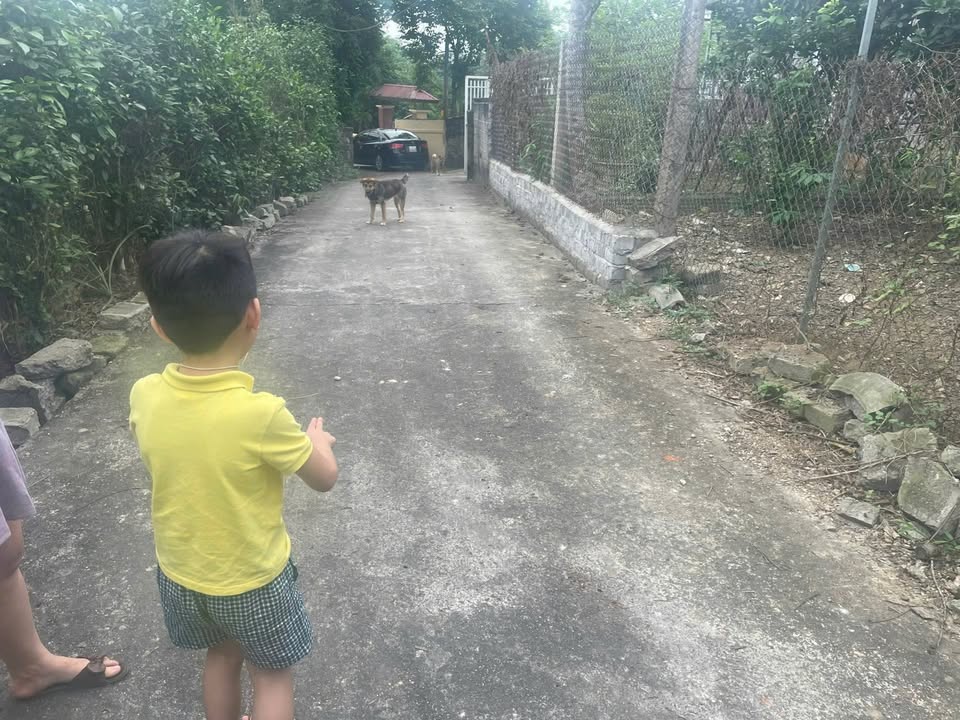 Đất nền 319m² tại P. Minh Xuân Tuyên Quang chỉ 900 triệu - Sổ đỏ chính chủ!