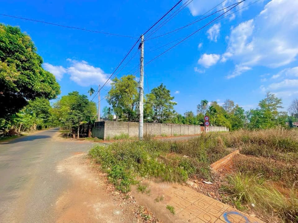 Đất mặt tiền hẻm 171 Hòa Thắng 120m² giá 1.47 tỷ - Đầu tư sinh lời ngay!