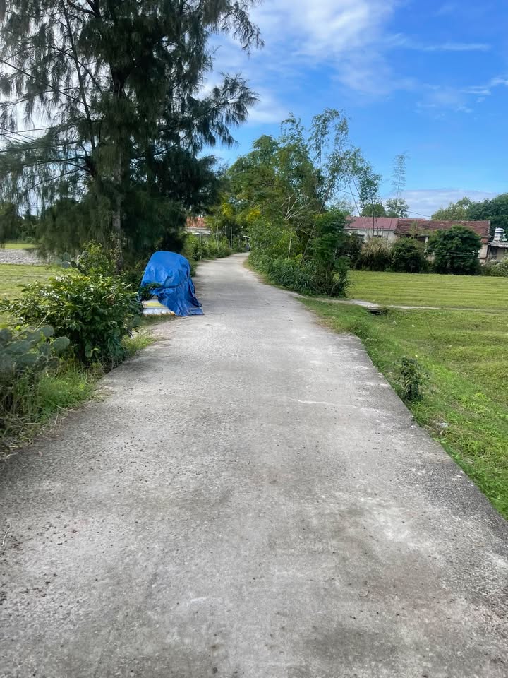 Đất trồng cây Tam Phú, Tam Kỳ 145m² giá chỉ 150 triệu - Cơ hội đầu tư tuyệt vời!