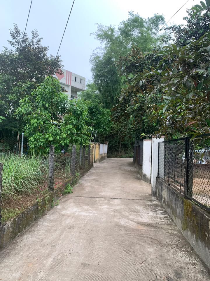 Bán đất Đoan Trai Tân Thạnh 165m² giá chỉ 700 triệu - Ô tô vào tận nơi!