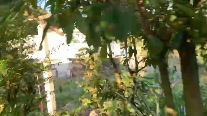 Đất nền 125m² tại Ấp 6, Tân Bình - Giá 350 triệu, cơ hội đầu tư hấp dẫn!