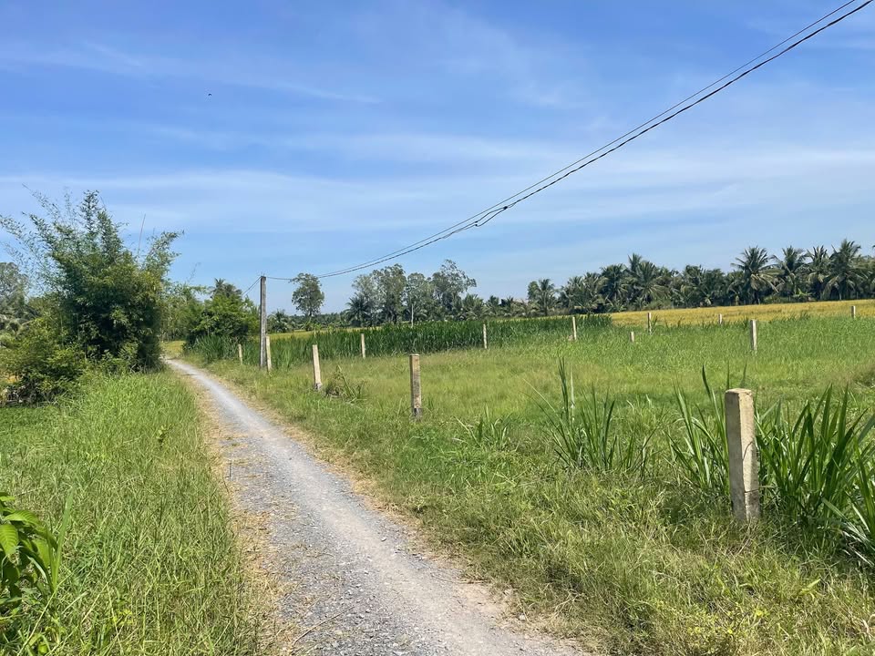 Đất nền Ấp Bình Đông, Gò Công Tây 152m² chỉ 270 triệu - View kênh thoáng mát!