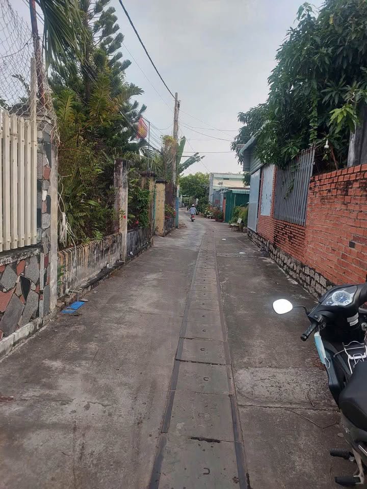 Đất nền đẹp tại Long Hải 116m² giá 1.65 tỷ - Vị trí đắc địa gần chợ!