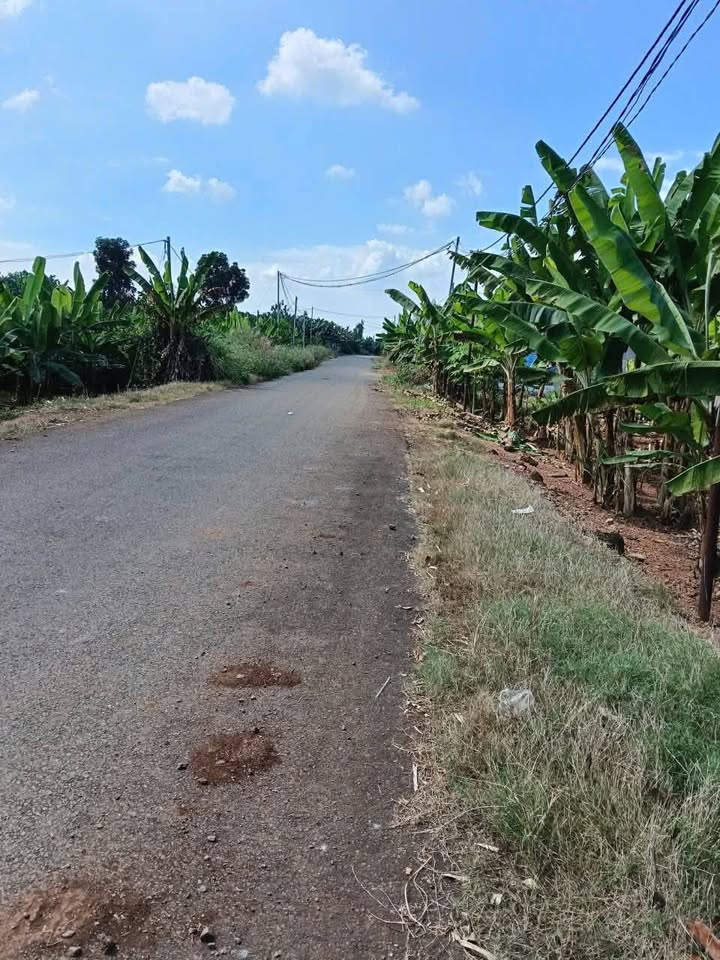 Đất CLN mặt tiền đường nhựa xã Bàu Hàm, 3650m² giá 9.864 tỷ - Cơ hội đầu tư hấp dẫn!