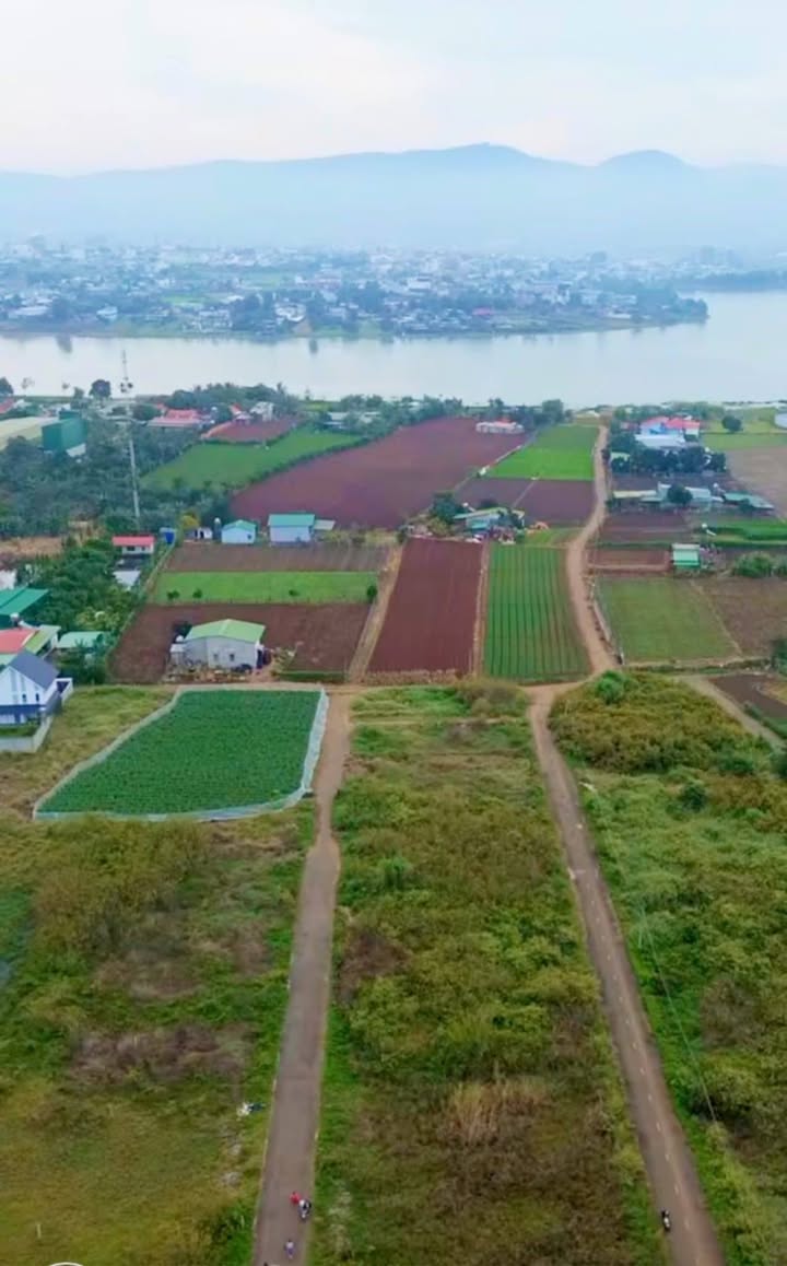 Đất nền Hẻm Hàn Thuyên, Liên Nghĩa, Đức Trọng 130m² giá 1.27 tỷ - Cơ hội đầu tư tuyệt vời!