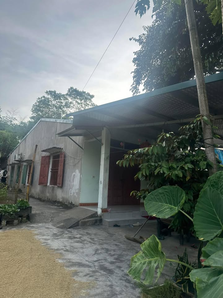 Nhà cấp 4 Trung Môn, Yên Sơn, Tuyên Quang 133m² - Vị trí đắc địa, giá chỉ 1 tỷ!