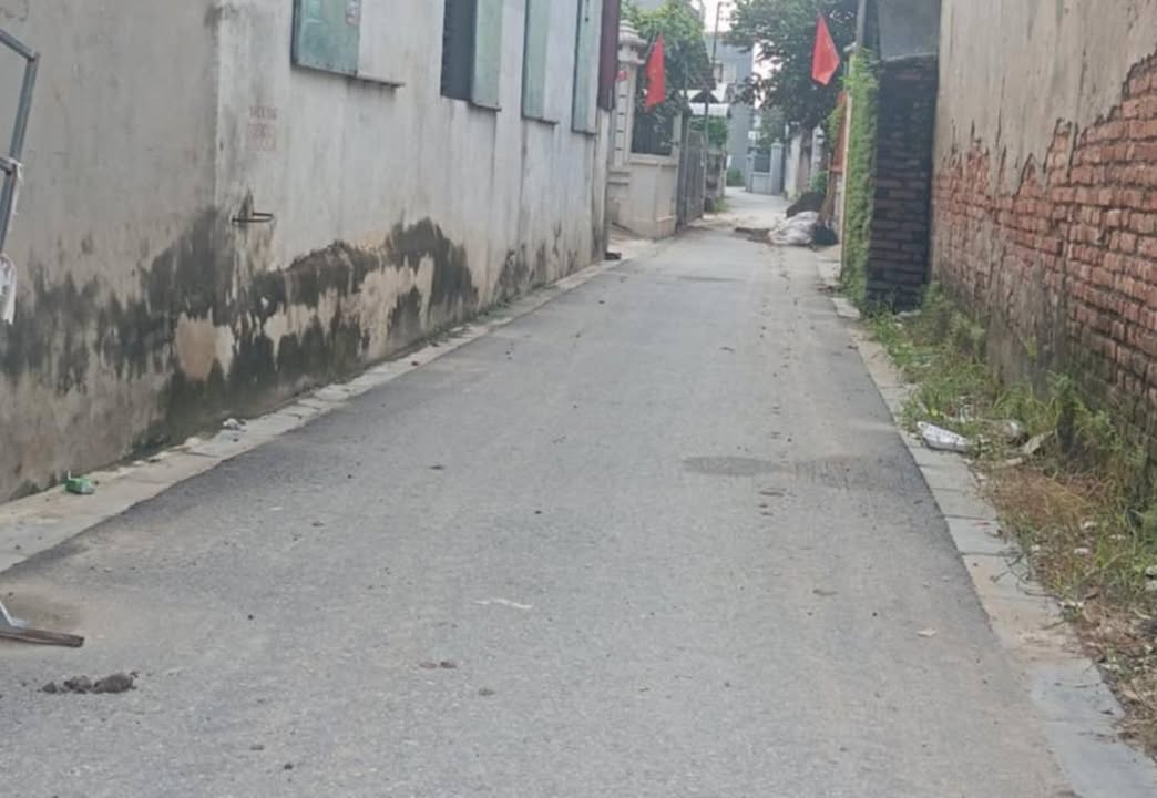 Đất nền Minh Trí Đông Anh 112m² giá 1 tỷ - Đường ô tô vào tận nơi!