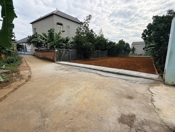 Đất thổ cư Thôn 3 Phú Cát 137.7m² giá 3 tỷ - Cơ hội đầu tư lý tưởng!